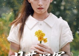 短剧《月落沉冤今当昭雪（60集）》短剧免费高清全集看