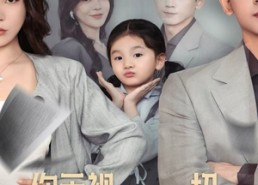 短剧《你无视一切，离婚你后悔什么（70集）》短剧免费观看一集不落