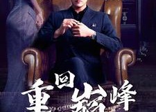 短剧《重回巅峰（86集）》短剧完整版免费畅享