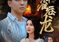 短剧《蟒雀吞龙（91集）》免费短剧全集高清观赏