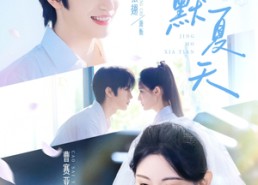 短剧《静默夏天（60集）》免费短剧全集随心看