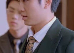 短剧《他的谎言也动听（80集）》热门短剧全集免费在线看