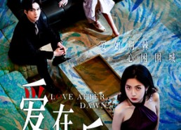 短剧《爱在黎明后（40集）》短剧免费在线高清播放