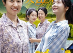 短剧《山花依旧笑春风（30集）》免费短剧全集轻松赏