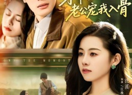 短剧《穿书后沉稳老公宠我入骨（80集）》超火短剧完整版免费赏