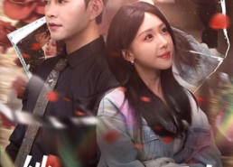 短剧《她的光芒万丈（87集）》精彩短剧在线畅享观看