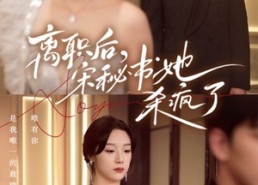 短剧《离职后，宋秘书她杀疯了（71集）》热门短剧全集免费赏