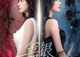 短剧《金银双姝（80集）》热门短剧在线高清观看