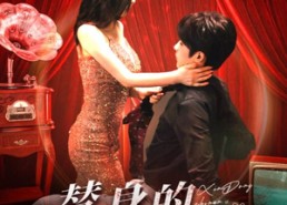 短剧《替身的心动指南（80集）》精彩短剧完整版免费看