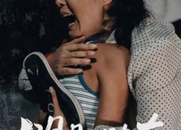 短剧《明月几时有（40集）》热门短剧全集免费观赏