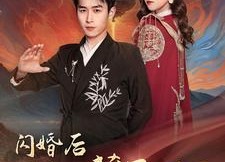 短剧《闪婚后我实力藏不住了（90集）》热门短剧免费完整看