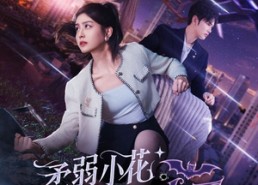 短剧《柔弱小花秒变满级女王（83集）》短剧全集免费畅享观看