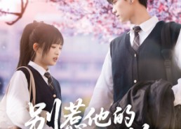 短剧《别惹他的小可怜（87集）》短剧免费全集畅享看