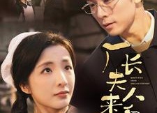 短剧《厂长夫人来自乡下（60集）》热门短剧全集免费播