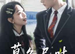 短剧《暮色尽时（100集）》短剧全集免费在线追剧