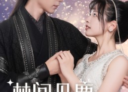 短剧《林间见鹿清风知否（62集）》超清短剧全集在线观