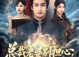 短剧《总裁老婆别担心，我医武双绝（80集）》短剧完整剧情在线播放