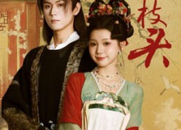 短剧《绿上枝头（73集）》爆款短剧免费在线畅享