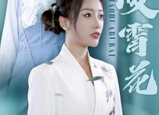 短剧《不败凌霄花（78集）》精彩短剧全集免费赏