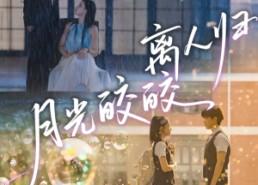 短剧《月光皎皎离人归（70集）》免费短剧在线完整看