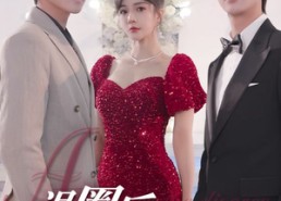 短剧《退圈后，被双大佬宠翻了（78集）》在线短剧全集免费播放