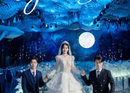 短剧《假千金被赶出家门后成了全球团宠（75集）》爆款短剧免费畅看全集