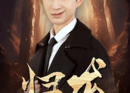 短剧《归龙（39集）》热门短剧在线无卡顿看