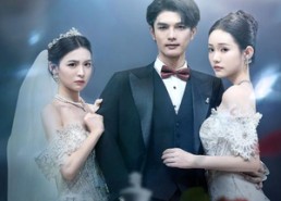 短剧《重生后新娘何必是你 (60集)》热门短剧免费连看