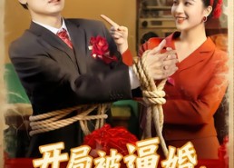 短剧《开局被逼婚，我老婆又骄又媚（74集）》精彩短剧免费全集播