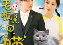 短剧《我的老板是只喵（86集）》爆笑短剧免费在线览