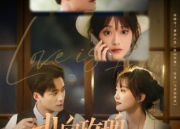 短剧《扑向玫瑰（77集）》短剧无删减在线直看