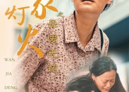 短剧《万家灯火之母爱无边（40集）》超火短剧完整版免费赏