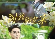 短剧《到我身边来（100集）》爆款短剧全集免费赏