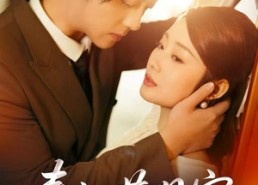 短剧《春江花月宴（80集）》热门短剧在线高清播放