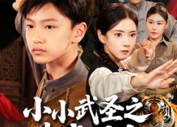 短剧《小小武圣之萌虎下山（62集）》短剧高清全集在线播放