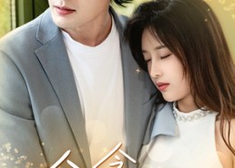 短剧《念念不忘白月光（80集）》热门短剧在线免费播