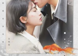 短剧《温柔沦陷（50集）》热门短剧免费畅看全集