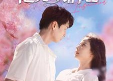 短剧《他先动的心（90集）》精彩短剧在线免费看