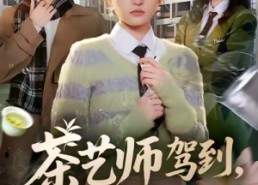 短剧《茶艺师驾到白莲统统闪开（65集）》短剧完整高清免费看