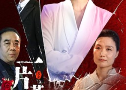 短剧《一片苦心付东流（80集）》热门短剧全集免费看