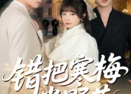 短剧《错把寒梅当野花（60集）》短剧全集高清免费点播