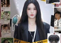 短剧《听懂动物语言我成了警局常客（82集）》短剧全集免费高清畅享