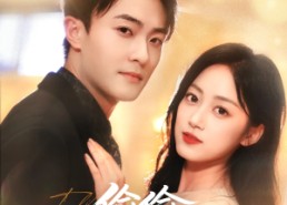 短剧《偷偷偷走你的心（50集）》爆款短剧在线免费点播