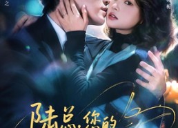 短剧《陆总，您的贪财小娇妻已上线（80集）》短剧在线免费看全集版