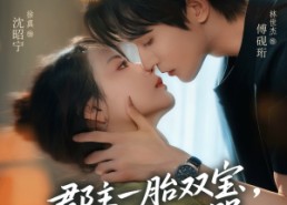 短剧《郡主一胎双宝，绝嗣傅爷宠哭（63集）》精彩短剧全集免费享