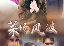 短剧《菜场风波（35集）》爆款短剧高清免费看