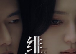 短剧《绯红（65集）》免费短剧全集高清观看