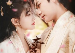 短剧《本宫要离职（48集）》短剧全集畅享在线观