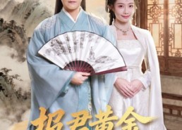 短剧《报君黄金台上意（100集）》精彩短剧全集免费追