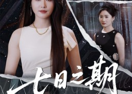 短剧《七日之期（90集）》高分短剧免费在线赏全